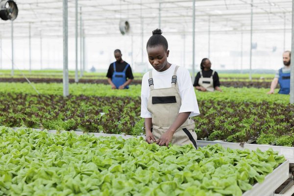 Les avantages de proposer des cocktails sans alcool dans votre restaurant bar