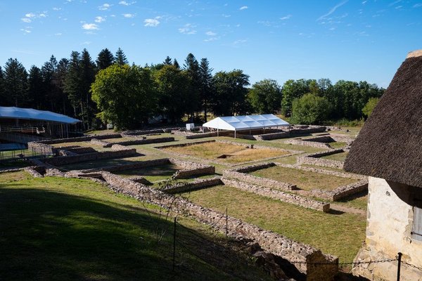 Quelles sont les meilleures salades de quinoa pour un repas complet léger ?